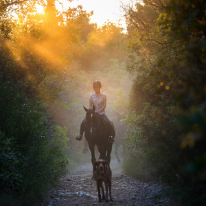 Horseback riding tour safari